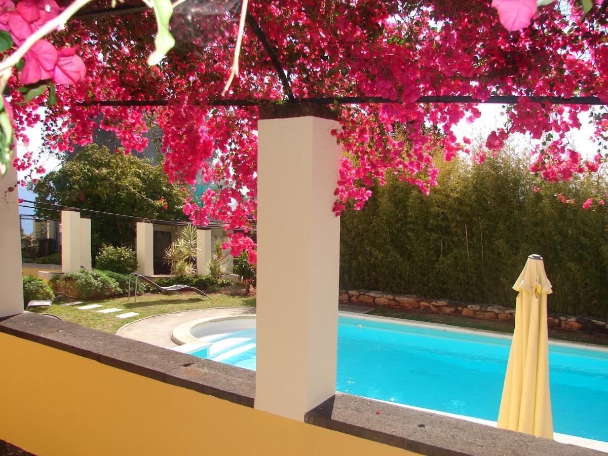 Private Pool Apt. With Great View فونشال المظهر الخارجي الصورة