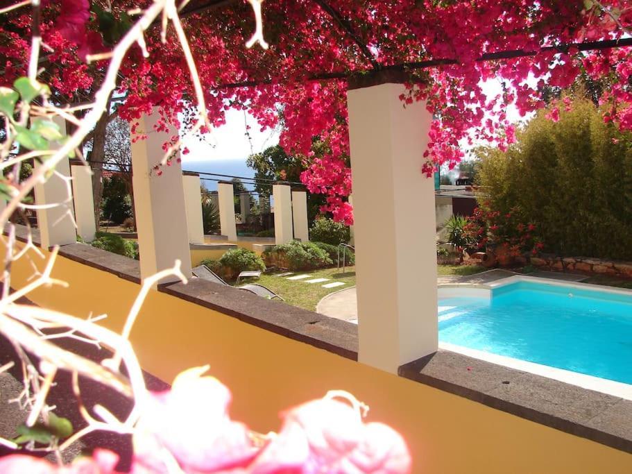 Private Pool Apt. With Great View فونشال المظهر الخارجي الصورة