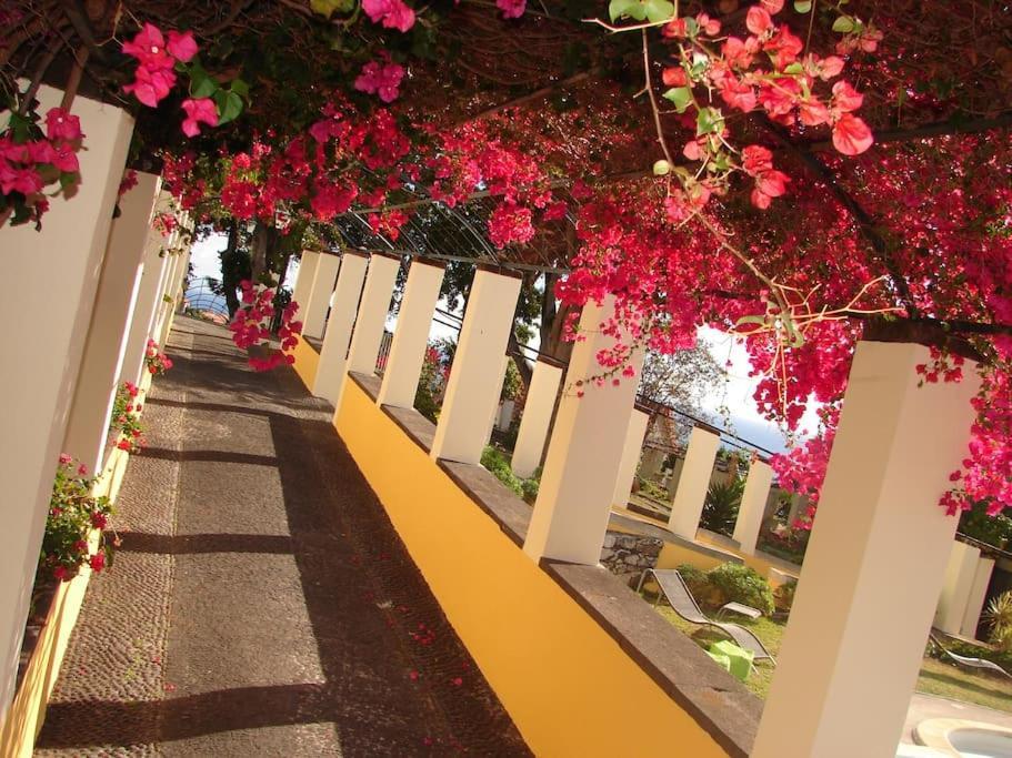Private Pool Apt. With Great View فونشال المظهر الخارجي الصورة
