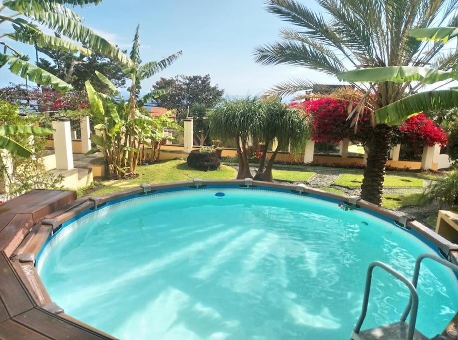 Private Pool Apt. With Great View فونشال المظهر الخارجي الصورة