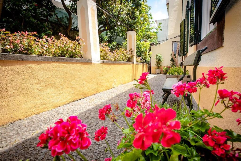 Private Pool Apt. With Great View فونشال المظهر الخارجي الصورة
