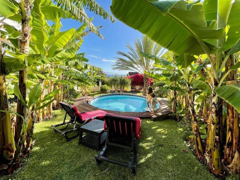 Private Pool Apt. With Great View فونشال المظهر الخارجي الصورة